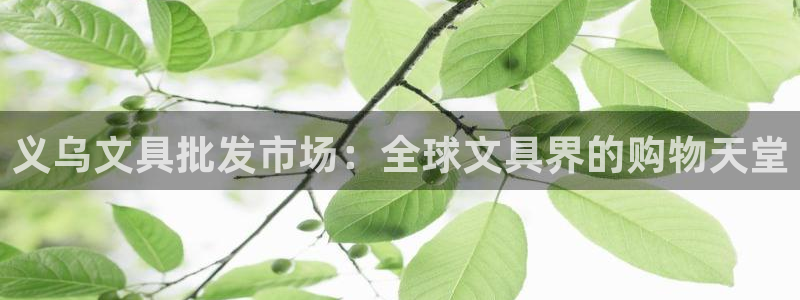 天顺娱乐xq云q速刂捷：义乌文具批发市场