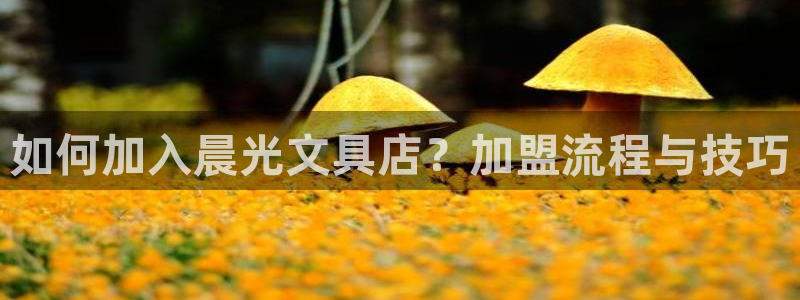 天顺娱乐皿金手指下拉2：如何加入晨光文具