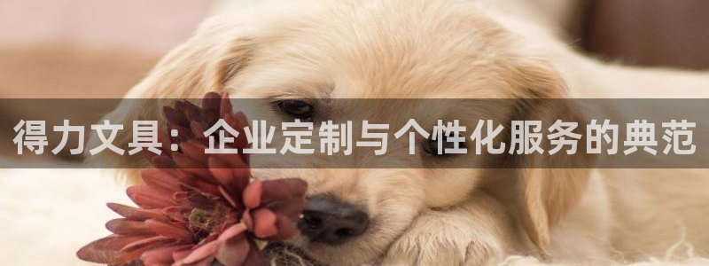 天顺娱乐官网：得力文具：企业定制与个性化