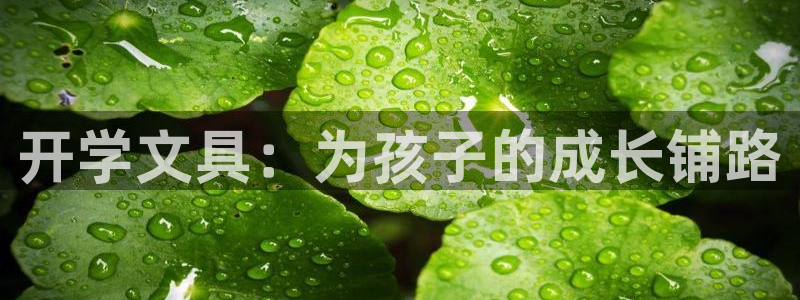 天顺娱乐美丝70648：开学文具：为孩子