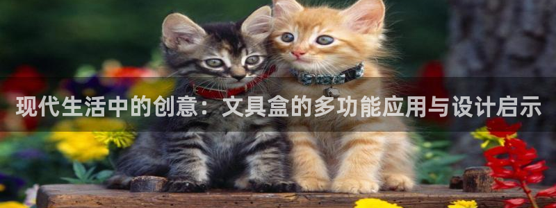 天顺娱乐下载：现代生活中的创意：文具盒的