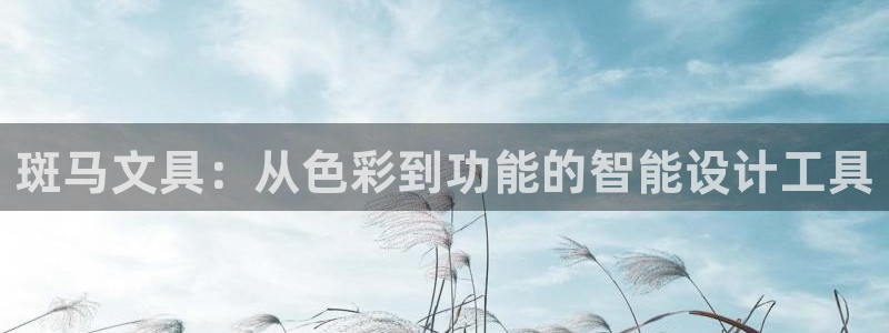 天顺娱乐负责人瓦琴pg58856：斑马文