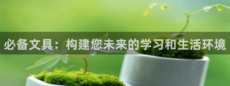 天顺平台娱乐：必备文具：构建您未来的学习