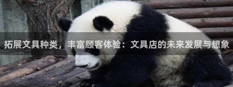 天顺娱乐主管经理是谁啊：拓展文具种类，丰