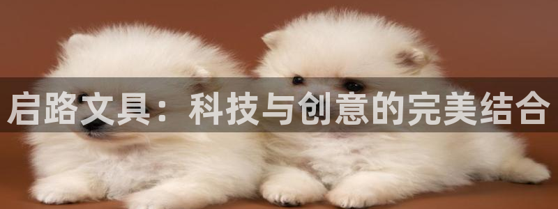 天顺娱乐平台注册：启路文具：科技与创意的