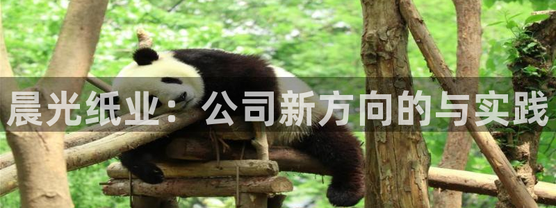 天顺娱乐刻72182：晨光纸业：公司新方