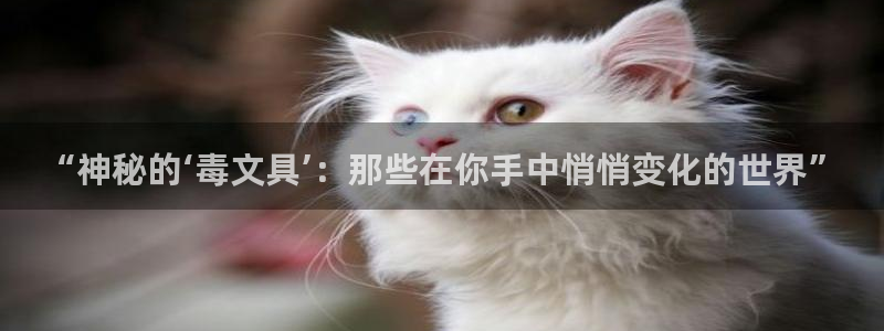 天顺娱乐扒943994：“神秘的‘毒文具