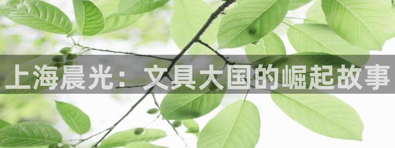 天顺娱乐陈32oo59：上海晨光：文具大