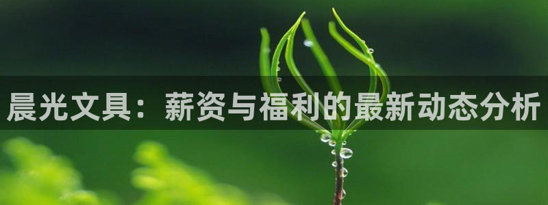 瑞丽市天顺娱乐会所：晨光文具：薪资与福利