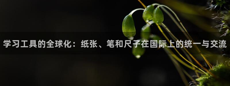 天顺娱乐塘33300j：学习工具的全球化
