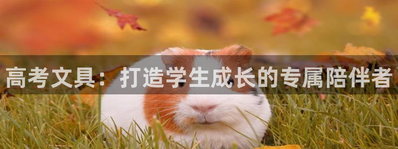 天顺娱乐登录网站：高考文具：打造学生成长