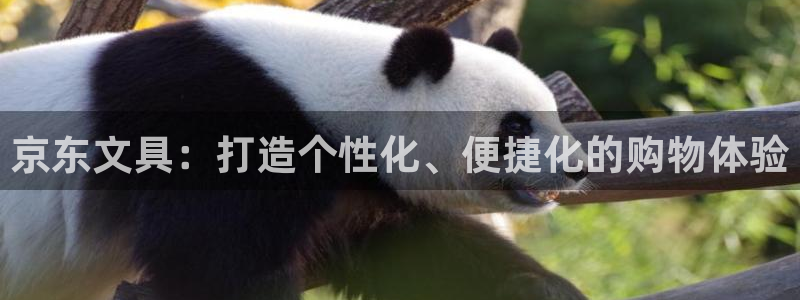 天顺娱乐17b判官333OO：京东文具：