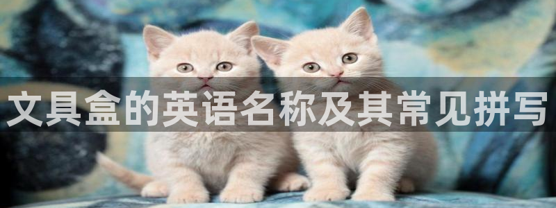 天顺娱乐喂 66 6：文具盒的英语名称及
