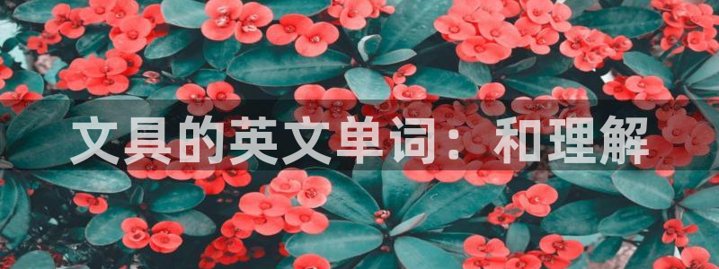 天顺娱乐皿金手指下拉6：文具的英文单词：