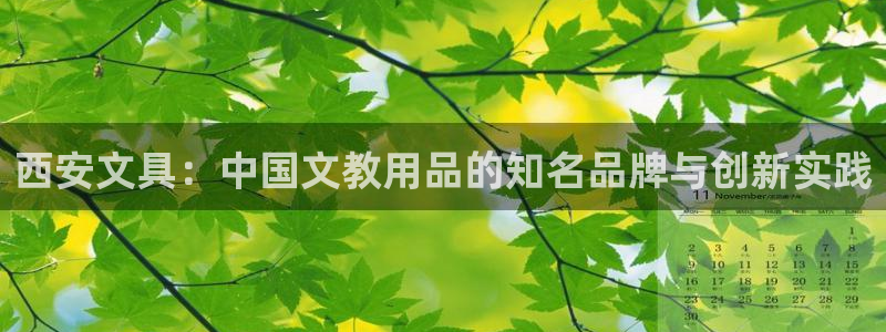 天顺娱乐是干嘛的：西安文具：中国文教用品
