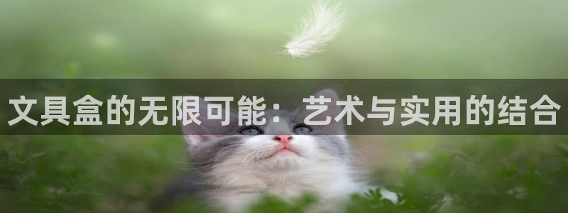 天顺娱乐痛砂70648：文具盒的无限可能