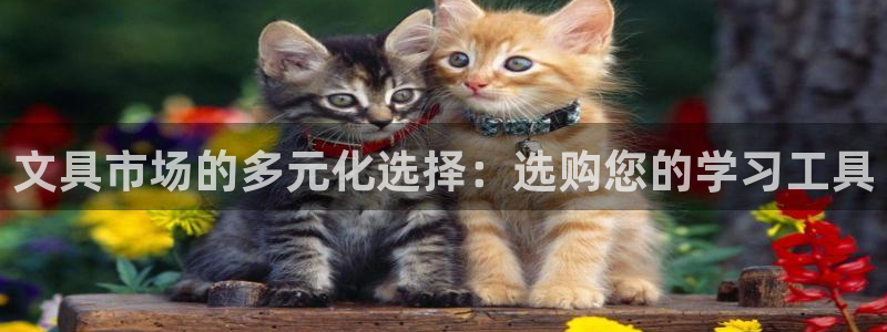 天顺娱乐主管自：文具市场的多元化选择：选