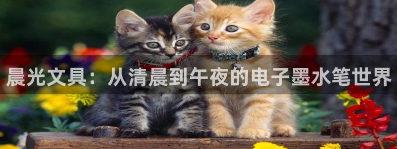天顺娱乐q96303：晨光文具：从清晨到