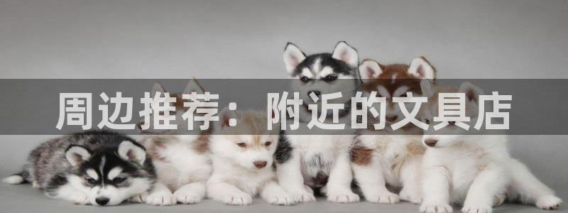 天顺娱乐2853179Z空间：周边推荐：