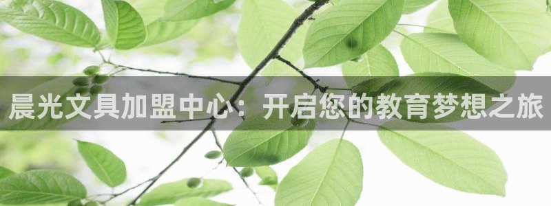 天顺娱乐岛78778卧：晨光文具加盟中心