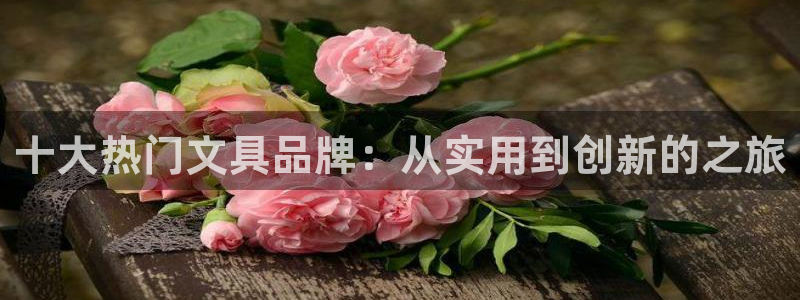 天顺娱乐险72182：十大热门文具品牌：